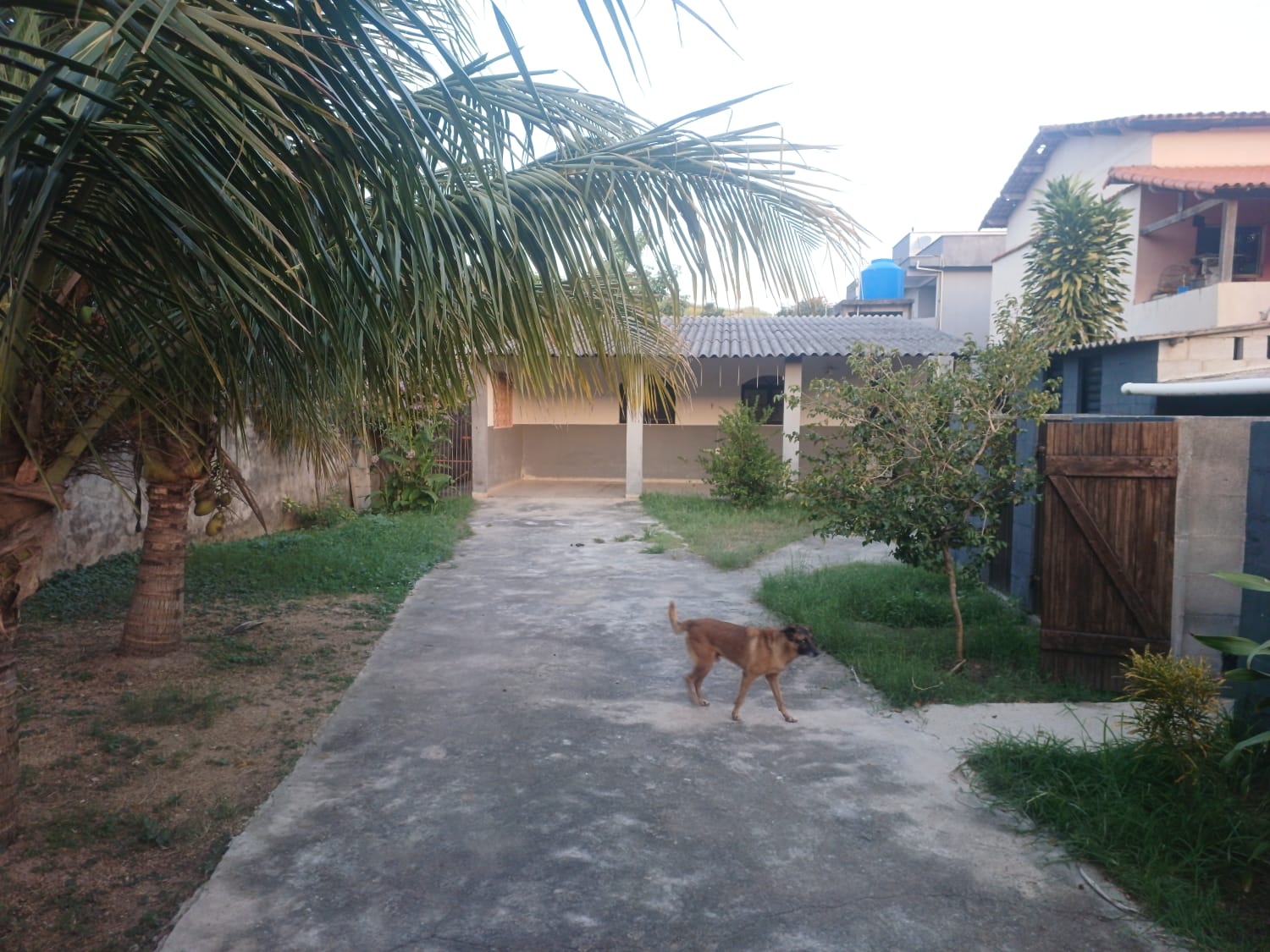 Casa com área gourmet e canil