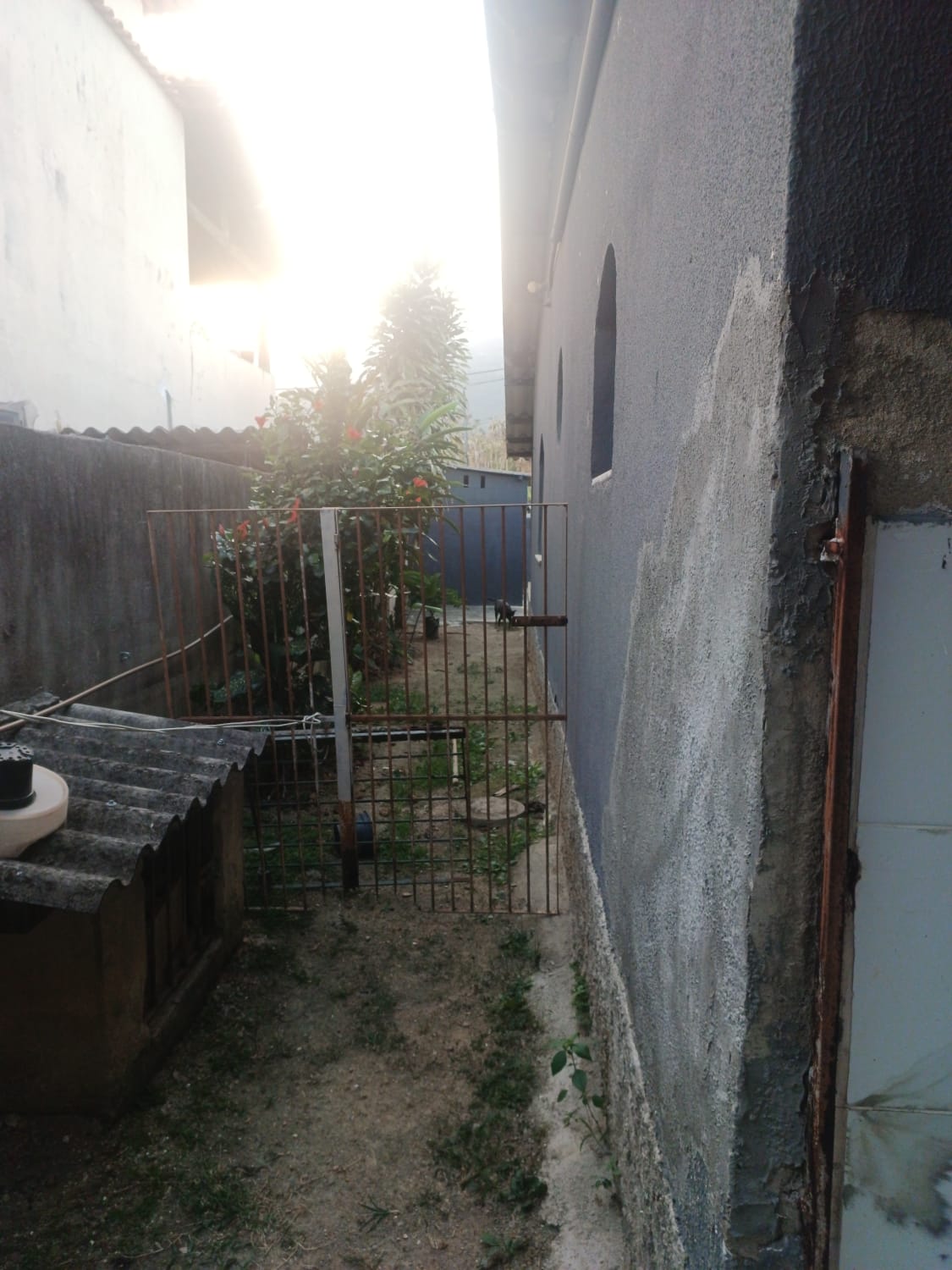 Casa com área gourmet e canil