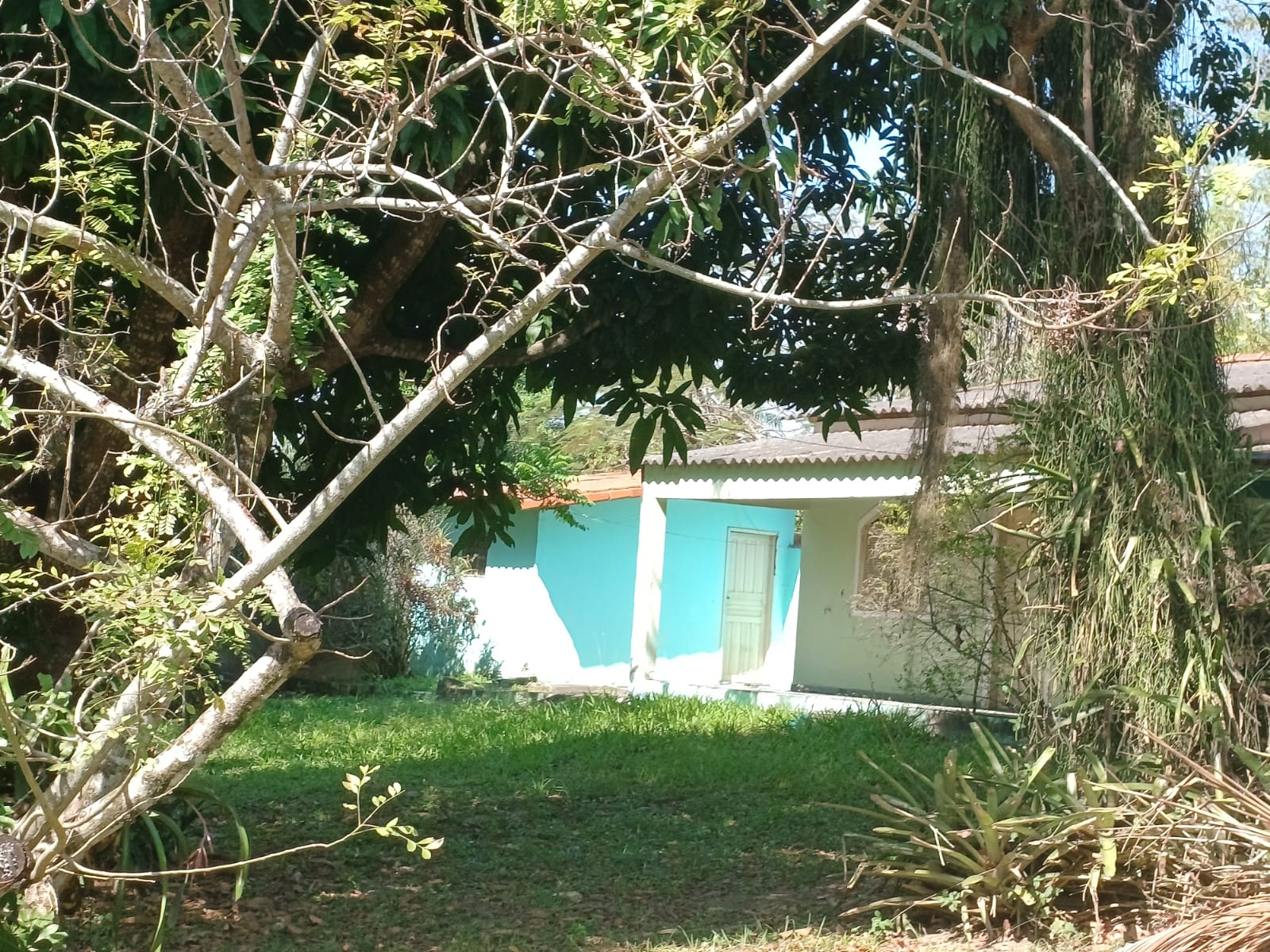 Chacara no Manu Manuela