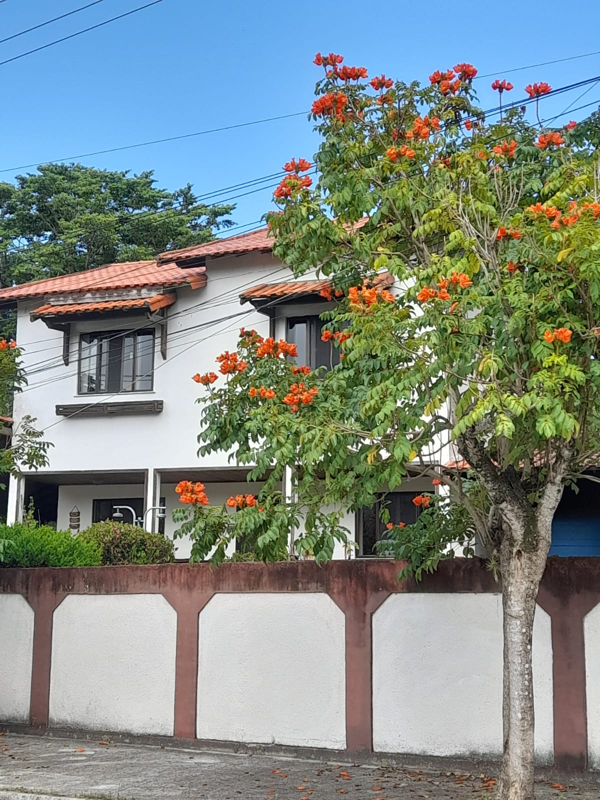 Chacara no Manu Manuela