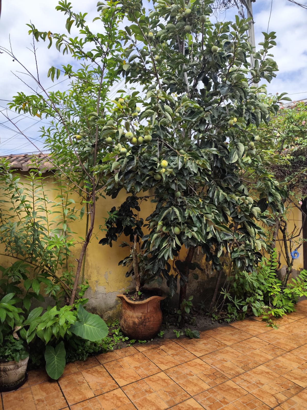 Casa de 2 Quartos em São José